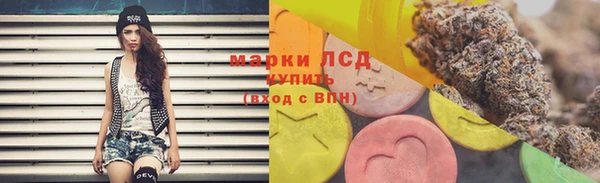 spice Карпинск