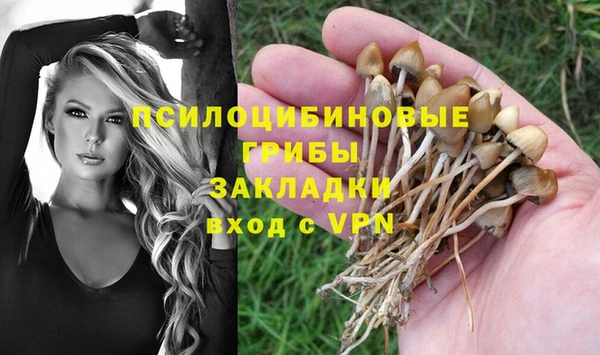 а пвп мука Касимов