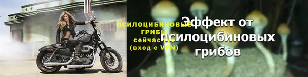 прущая мука Карталы