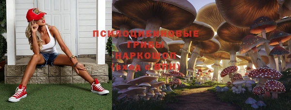 прущая мука Карталы