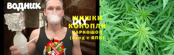 spice Карпинск