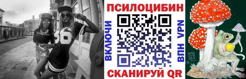 Купить закладки  Гурьевск  Галлюциногенные грибы Magic Shrooms 